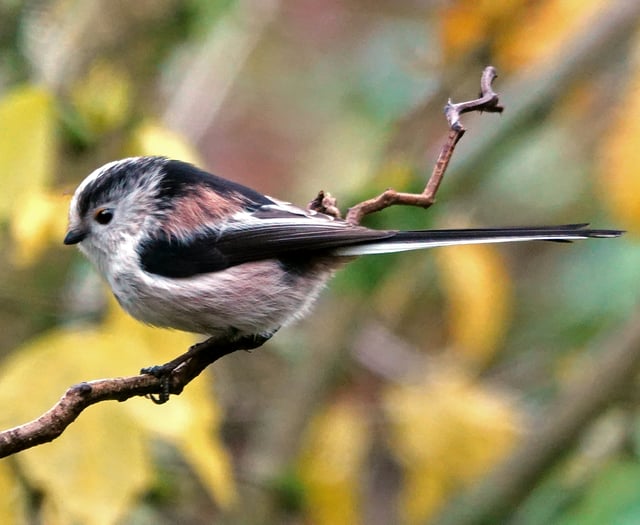 VIDEO GALLERY: Our readers' photos 