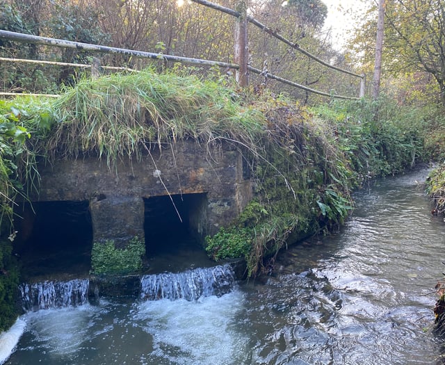 Waverley council condemns Thames Water after flood of failures
