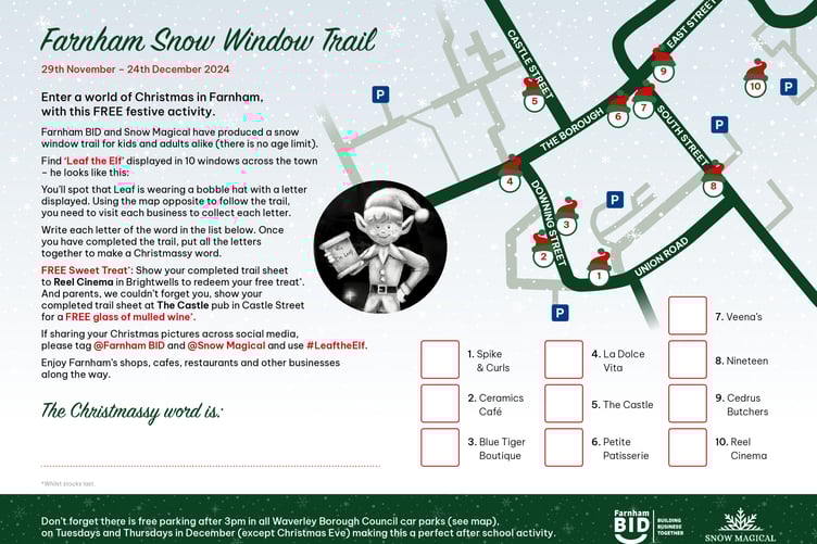 Farnham BID Snow Window