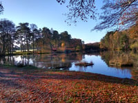 News from clubs and societies in Surrey and Hampshire