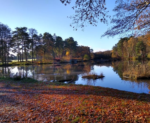 News from clubs and societies in Surrey and Hampshire