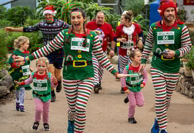 Hundreds of Santas on the run at Eden Project