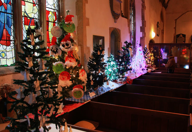 A row of Christmas trees helps to light up the aisles in St Decuman’s Church, Watchet. PHOTO: George Ody.