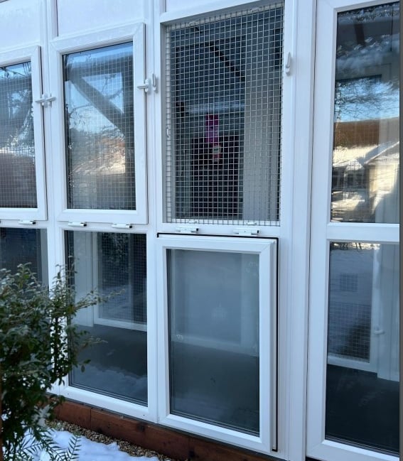 <p>Longcroft Four Marks Cat Hotel pens</p>