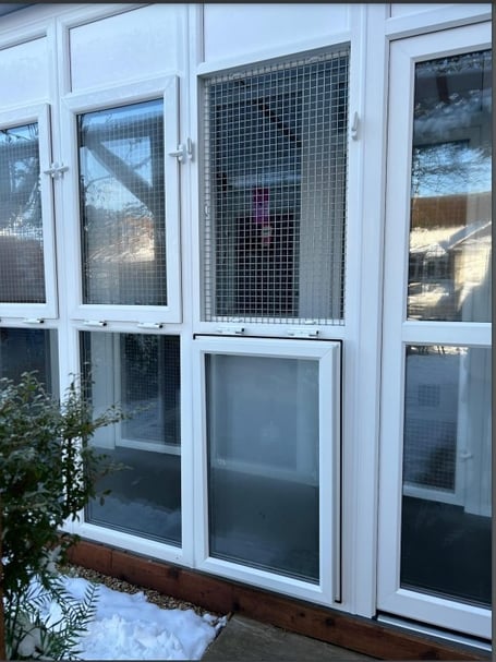 Longcroft Four Marks Cat Hotel pens