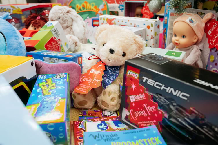Farnham Veterinary Group Christmas Appeal