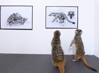 Walk on the wild side as UCA unveils 'pawtrait' exhibition
