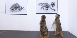 Walk on the wild side as UCA unveils 'pawtrait' exhibition