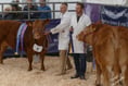 Champions and charity at Truro Primestock