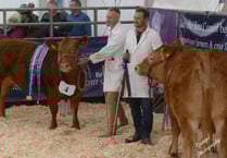 Champions and charity at Truro Primestock