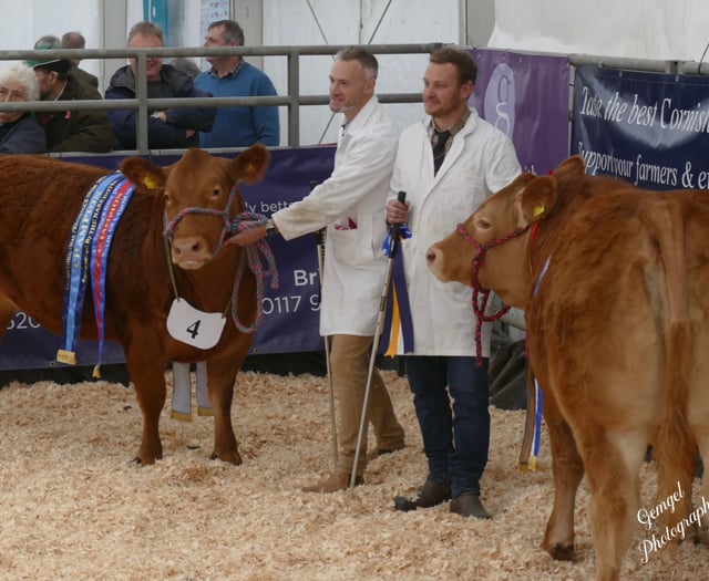 Champions and charity at Truro Primestock