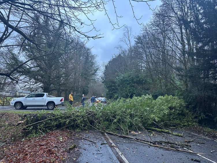 Tree down between Applegarth Farm entrance and Hammer Lane turn off on Headley Road