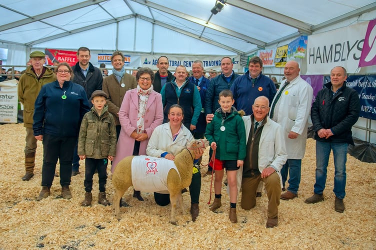 The ewe lamb and all those who contributed to its sale