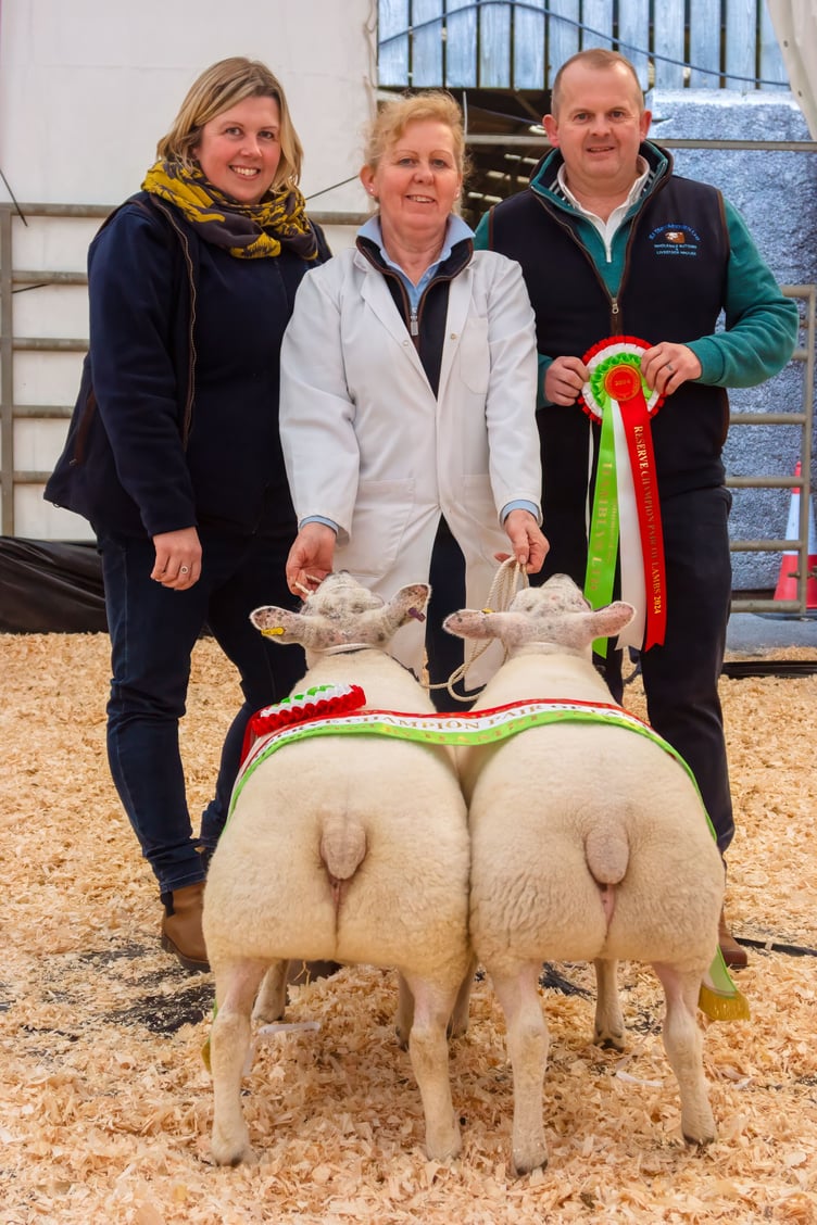 Reserve champion pair of ewes