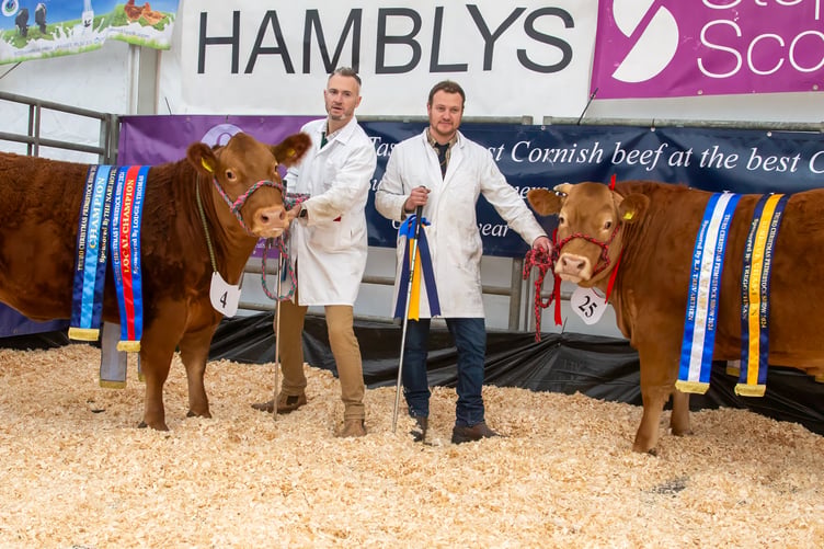 The Penellum brothers with supreme and reserve champions