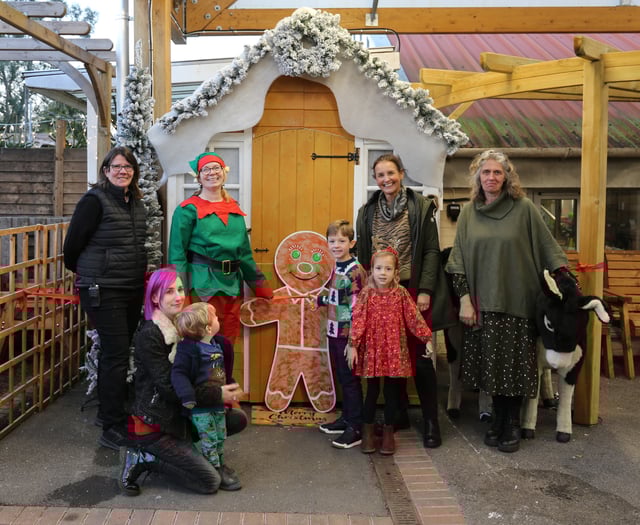 Magical Christmas memories being made at garden centre