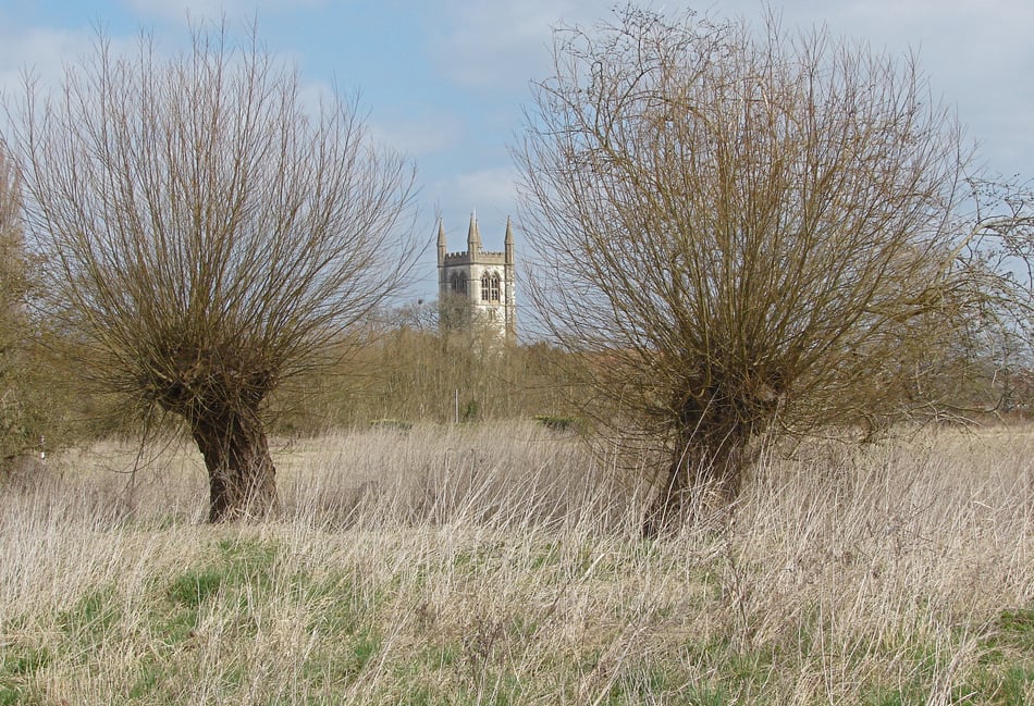 <p>Bishops Meadow by Alan Hunt</p>