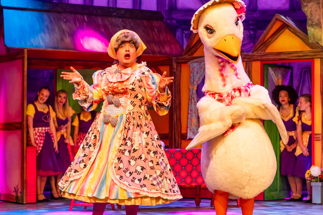 Incredible feedback for Mother Goose pantomime