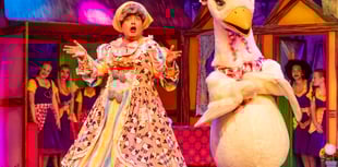Incredible feedback for Mother Goose pantomime