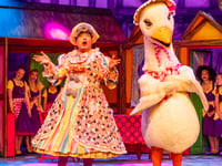 Incredible feedback for Mother Goose pantomime
