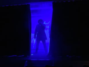 VIDEO: Ewshot Christmas pantomime Puss in Boots review