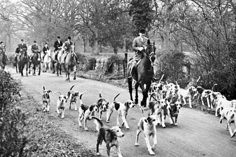 Hampshire Hunt Blackmoor Archive