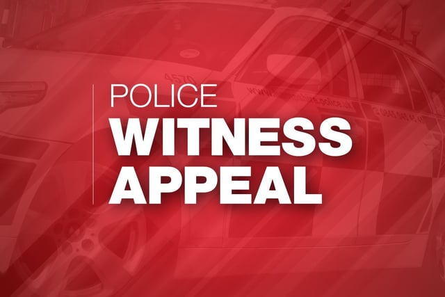 Woman seriously injured after being hit by double-decker bus