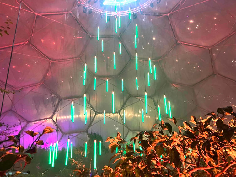 Part of the magical lighting show in the Mediterranean biome. Picture: Andrew Townsend