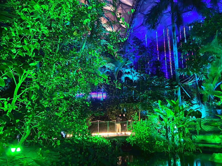 There were striking and reflective light installations in the rainforest biome. Picture: Andrew Townsend