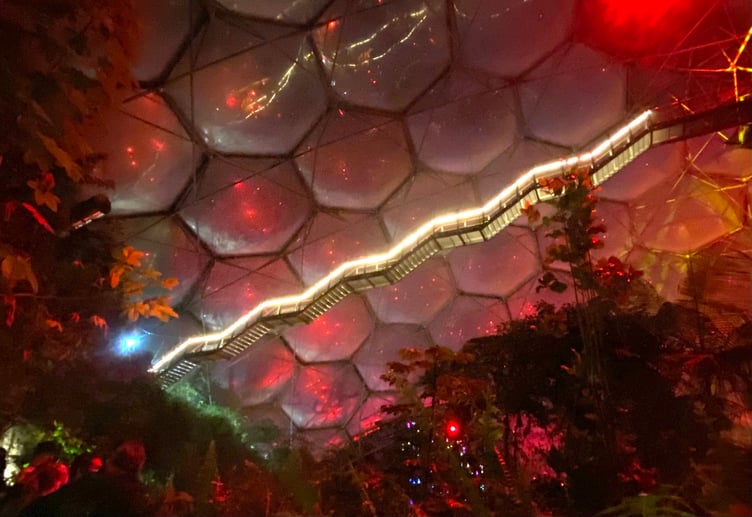 The staircase leading to the top of the rainforest biome was all lit up. Picture: Andrew Townsend