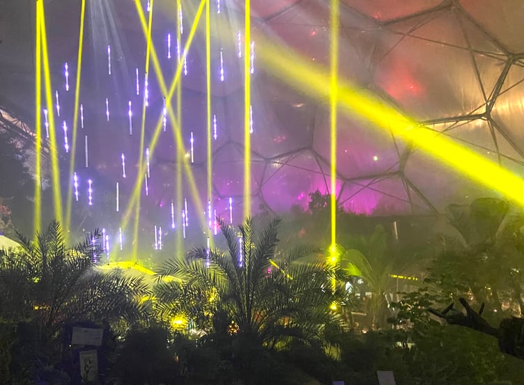 The lighting show, combined with music, created a party atmosphere in the Mediterranean biome. Picture: Andrew Townsend