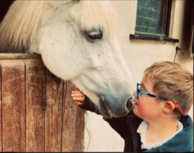 Pony meets boy, Broadlands Riding for the Disabled, Medstead.