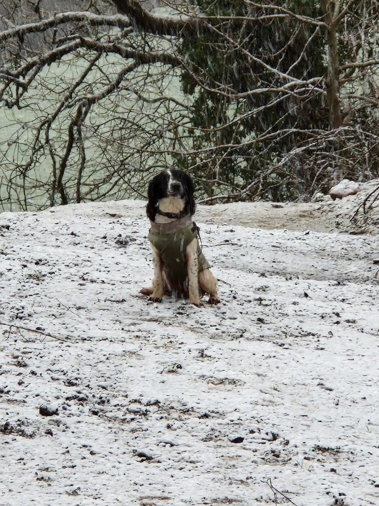 Little bit of snow in Looe. Picture: Charlotte Stephens