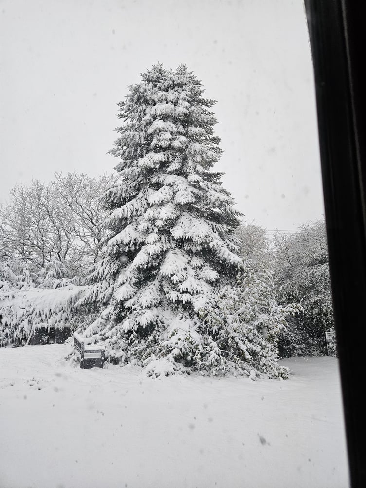 Launceston area. Picture: Leanne Graham