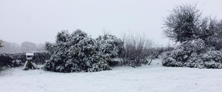 Treween. Picture: Lisa Baker-Pannell