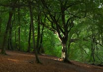 Peeps into the Past: The tall tale of the Trumpeter of Selborne and the 1830 Swing Riots