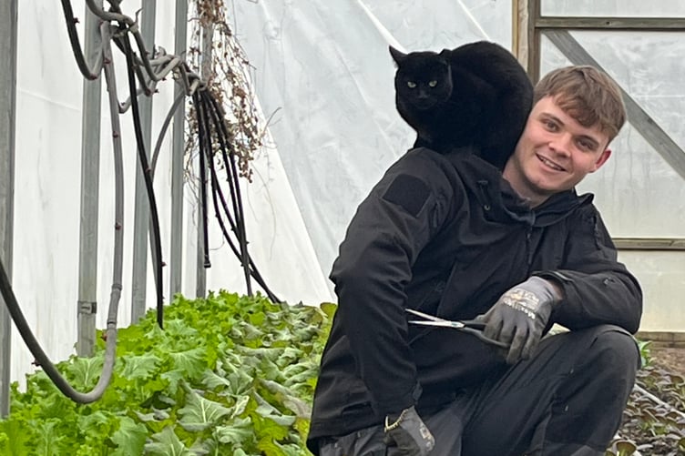 James Griffiths receives help for his Duke of Edinburgh Award from Farnham Community Farm's cat.