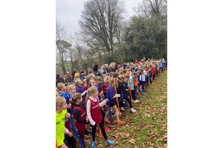 Another packed field for the Girls' Year 3-4 race at Cotehele