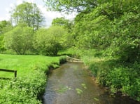 Your letters to the editor: Keep the River Wey flowing