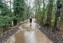 Farnham Runners hold annual handicap race