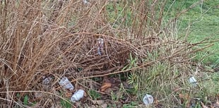 Your letters to the editor: Litterbugs are a disgrace to this country