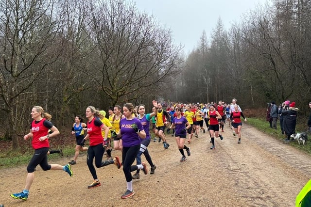 Action from the Alice Holt cross country