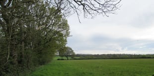 Surrey's climate change cuts reversed