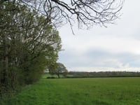 Surrey's climate change cuts reversed