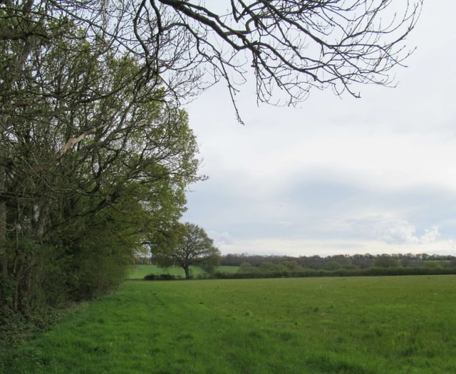 Surrey's climate change cuts reversed