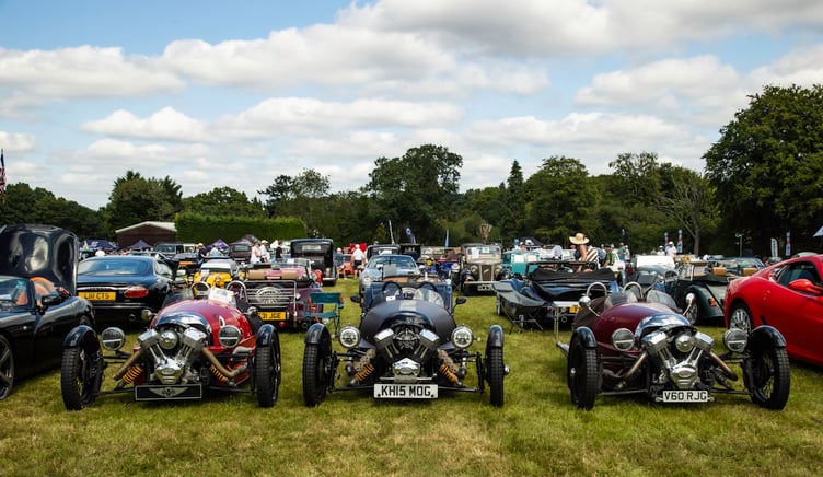 Phyllis Tuckwell Motor Show Churt