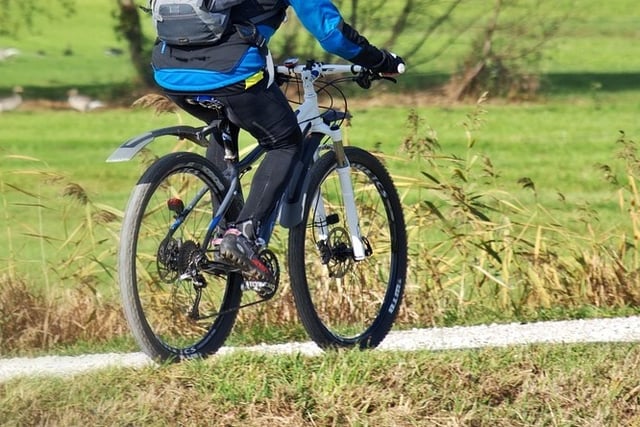 Last chance for free bike checks in Farnham