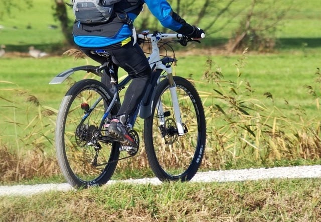 Last chance for free bike checks in Farnham