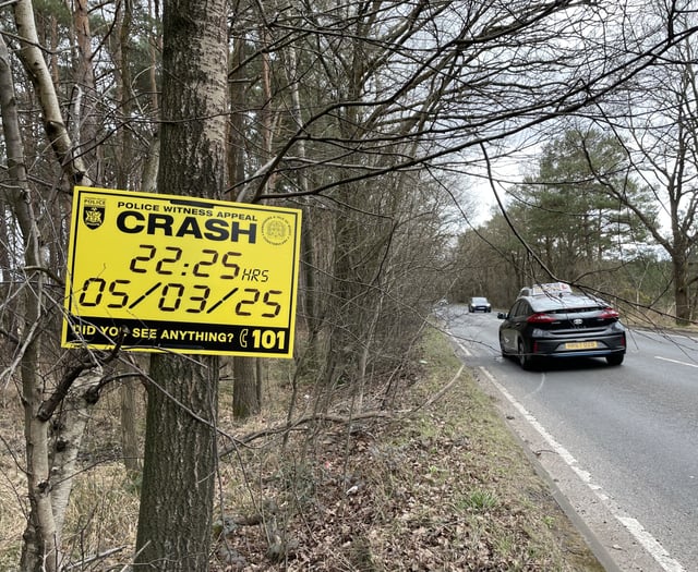 Coroner's sorrow for family as inquest held for Ewshot driver