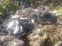 Fly-tippers leave their mark on North Farnham road